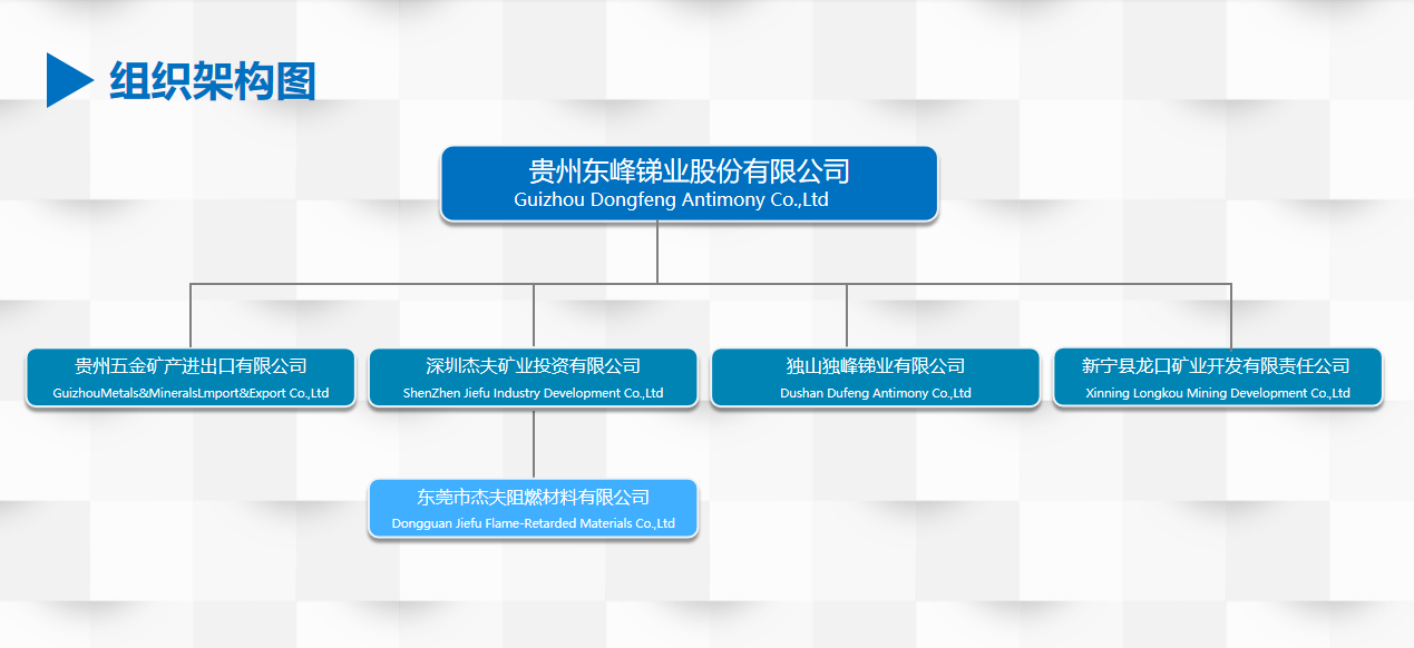 组织架构(图1)
